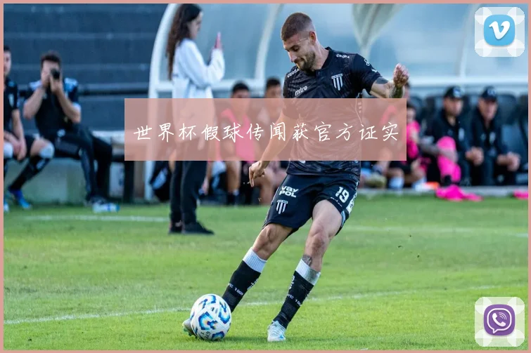 世界杯假球传闻获官方证实