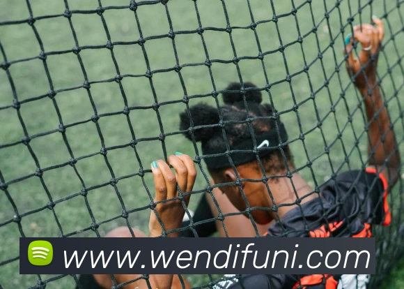 App界面